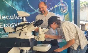 A students is observing a sample at the microscope.