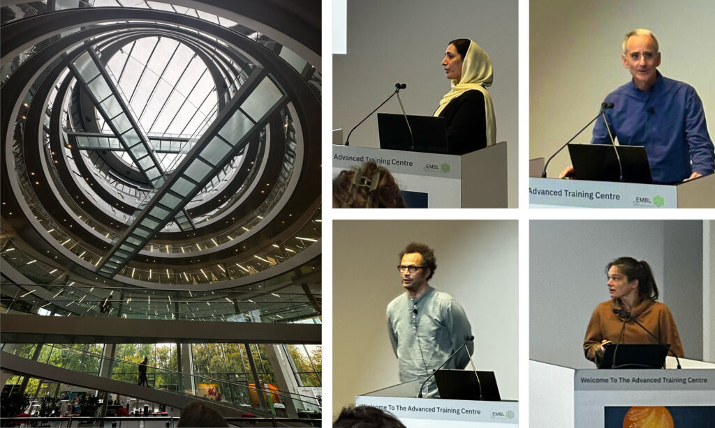 A collage of five pictures, four showing scientists delivering talks, and one an interior shot of the conference venue, showing its helical structure.